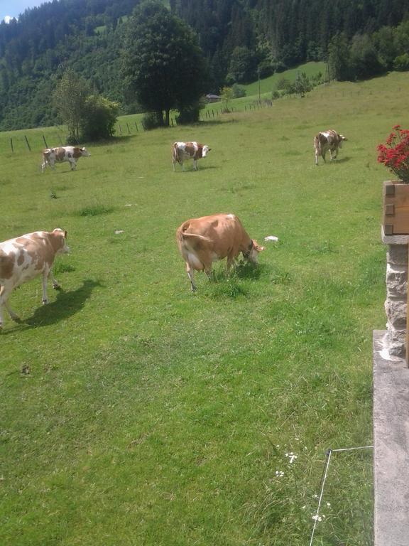 Ferienwohnungen Behamhof Neukirchen am Großvenediger 외부 사진
